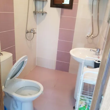 Campsite Bungalow Megi